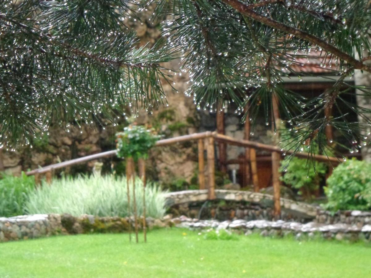 Eco Garden Bed and Breakfast Dilijan Εξωτερικό φωτογραφία