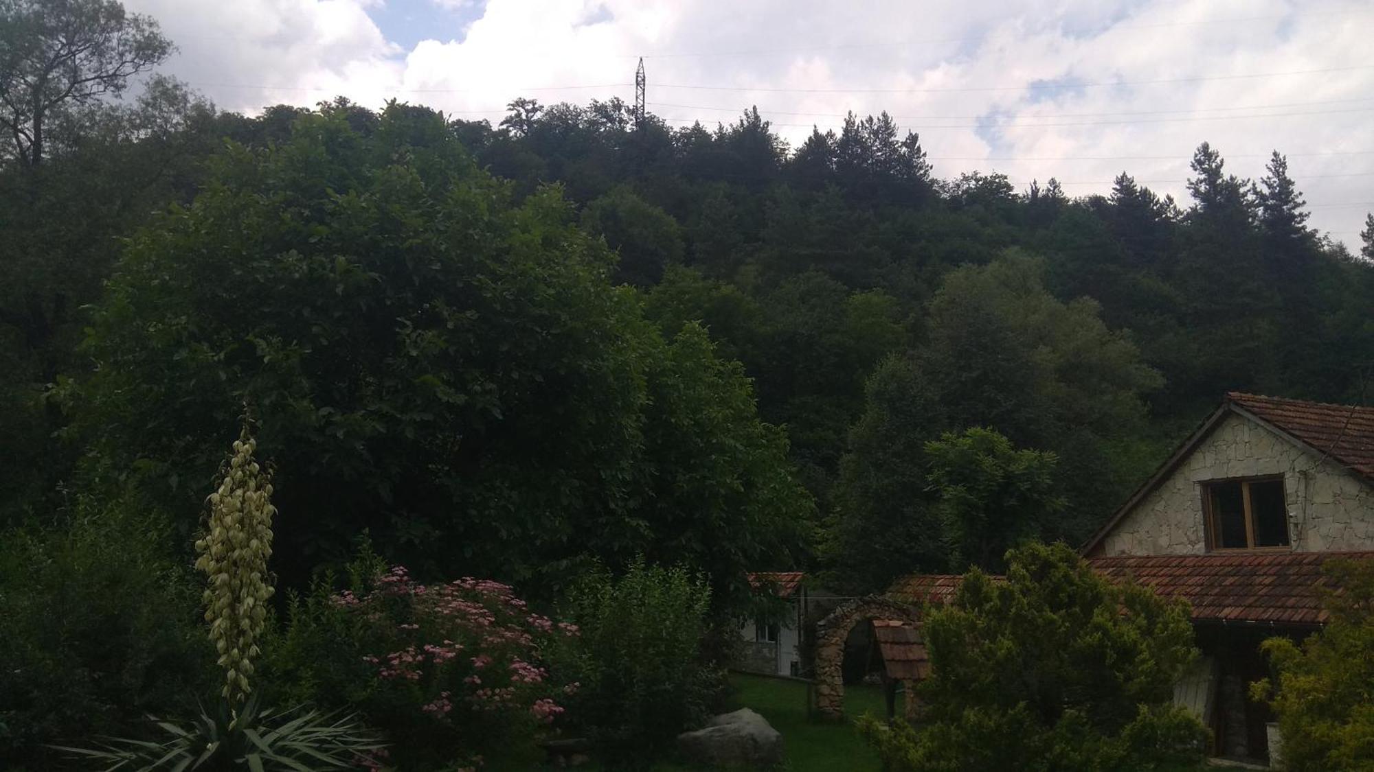 Eco Garden Bed and Breakfast Dilijan Εξωτερικό φωτογραφία