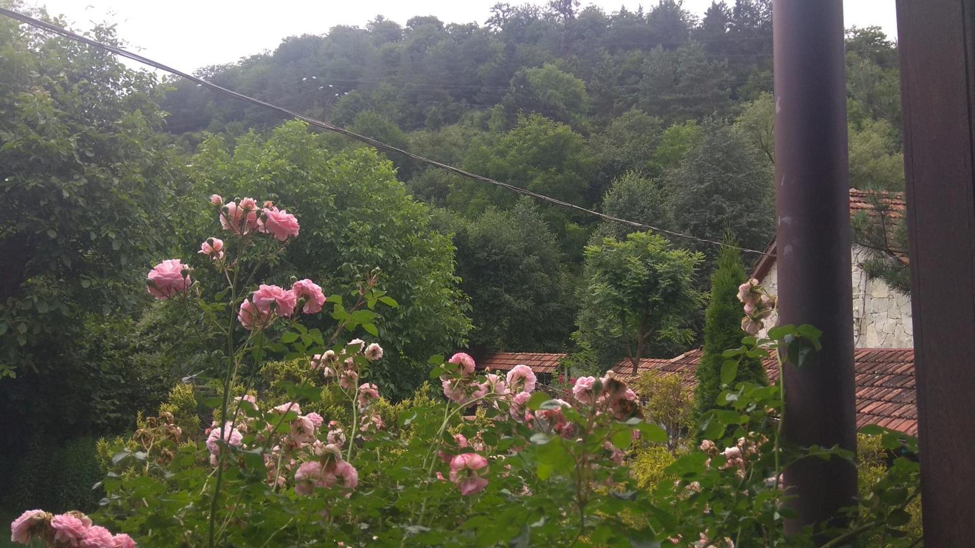 Eco Garden Bed and Breakfast Dilijan Εξωτερικό φωτογραφία