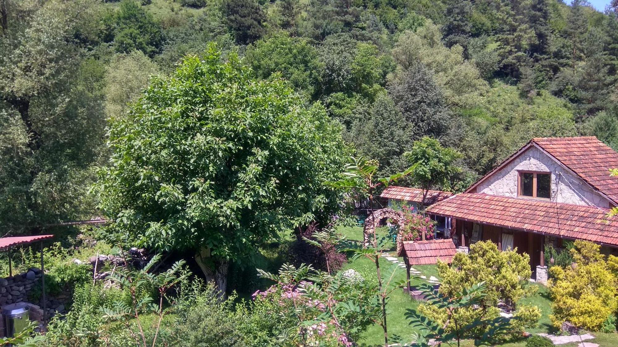 Eco Garden Bed and Breakfast Dilijan Εξωτερικό φωτογραφία
