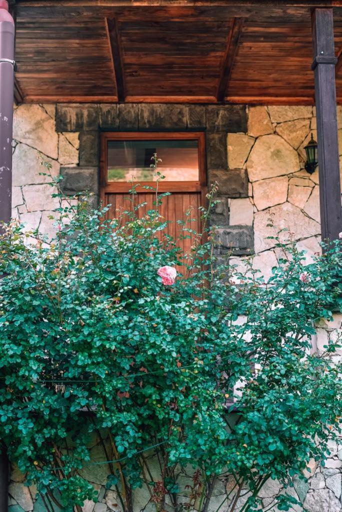 Eco Garden Bed and Breakfast Dilijan Εξωτερικό φωτογραφία